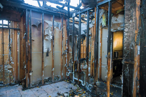Professional Smoke Damage Removal technician working in High Rolls, NM